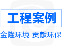 经典案例展示